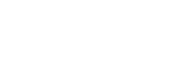 Casey Lee's BBQ