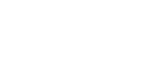 The Moravia Store